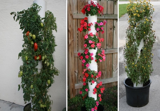 Best way to grow a vertical strawberry garden ...