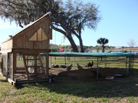 Wonderful DIY Recycled Chicken Coops