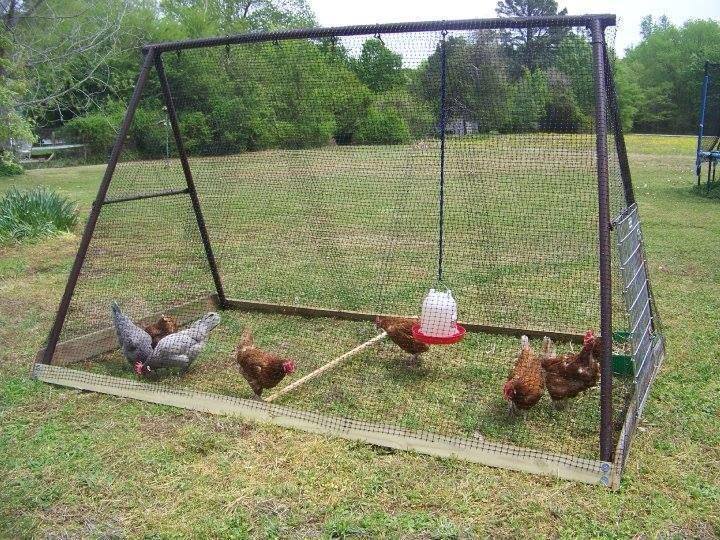 Turn an old Swing Set into a chicken coop– Tutorial here