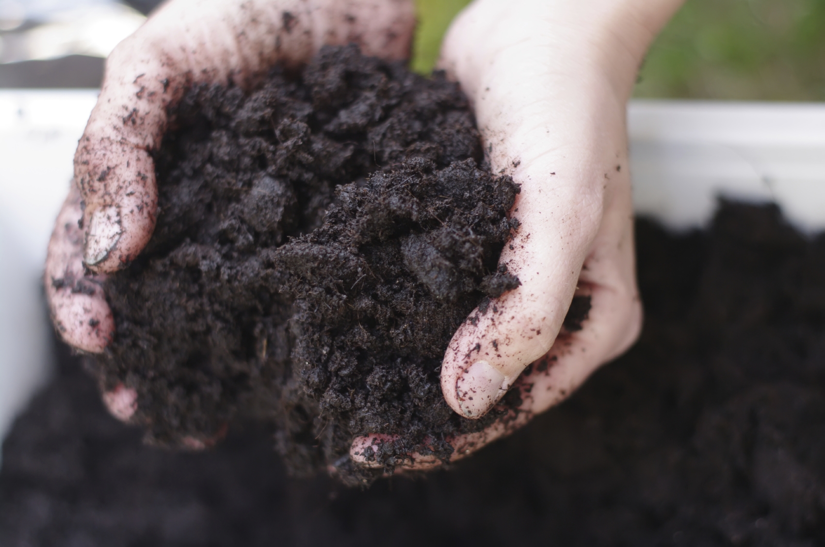 6 Types of Soil: How to Make the Most of Your Garden Soil?