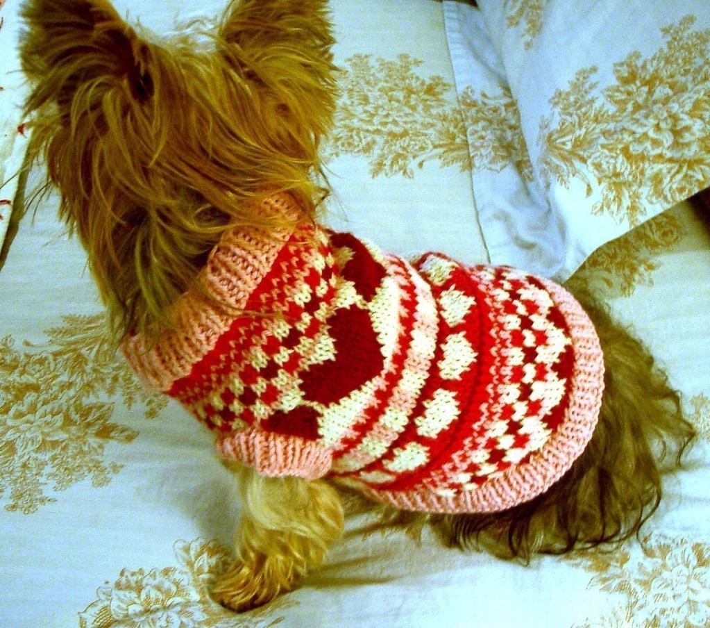 Knitted Dog Sweaters to Keep Your Pooch Warm