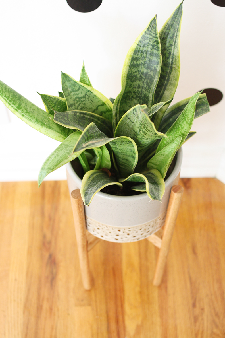 Amazing DIY Planter Stands for Your Plants