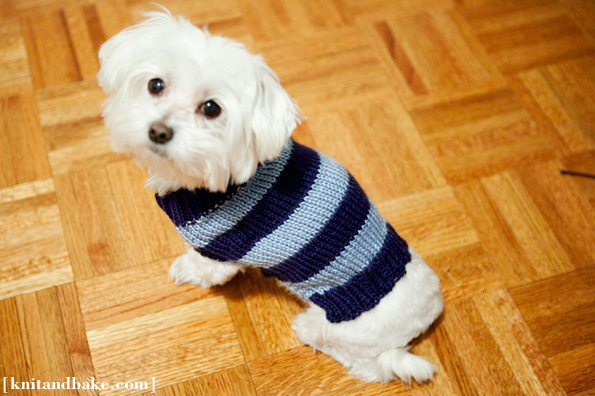 Adorable Dog Clothes to Make for Your Favourite Pooch