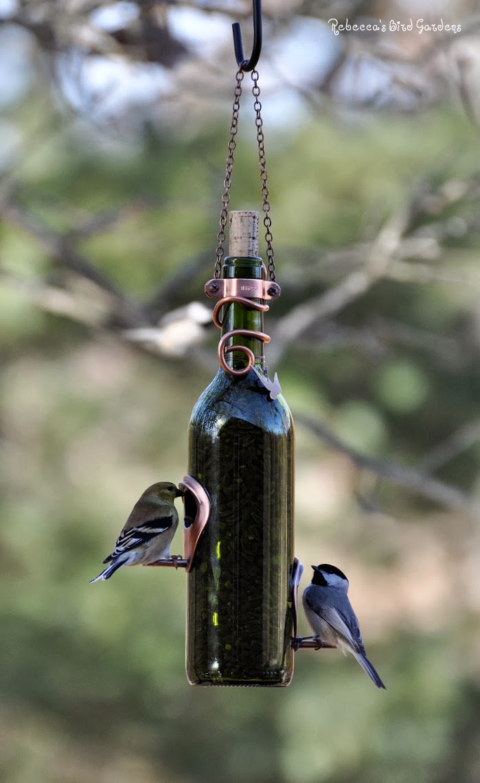 These Upcycled DIY Bird Feeders Are the Perfect Addition