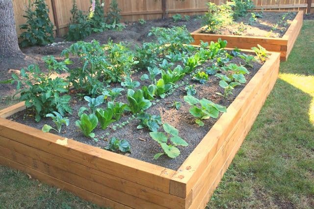 10 DIY Raised Garden Beds To Improve Your Garden