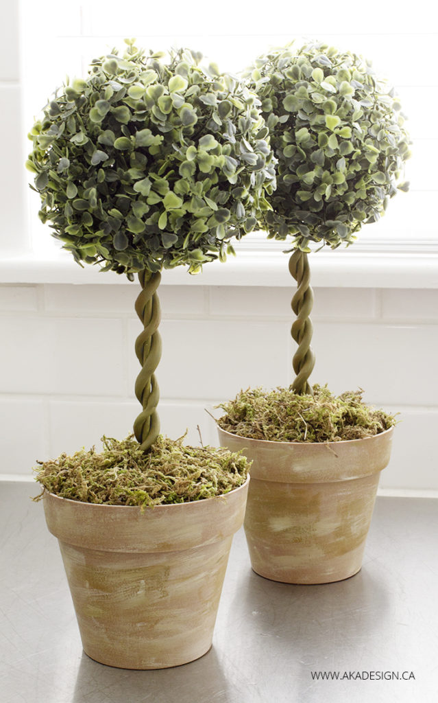 Small and Stunning DIY Topiaries You’ll Want In Your Home
