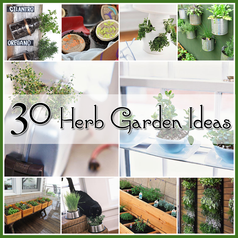 30 herb garden idea