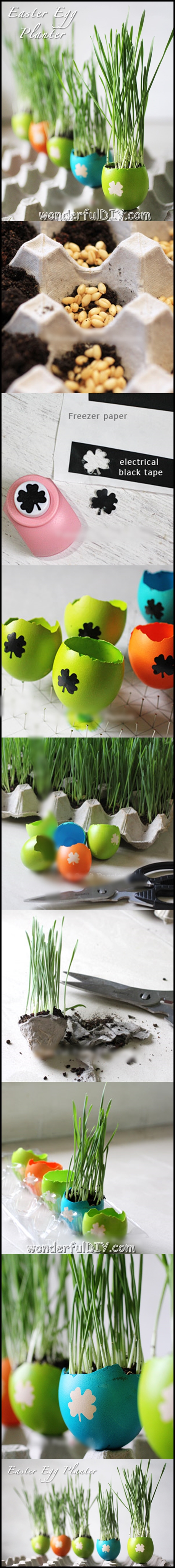DIY Easter Egg Planters m.w