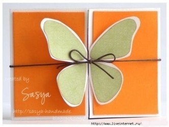 Butterfly Greeting Card F