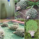 Wonderful DIY Plastic Bottle Hedgehogs For Your Garden