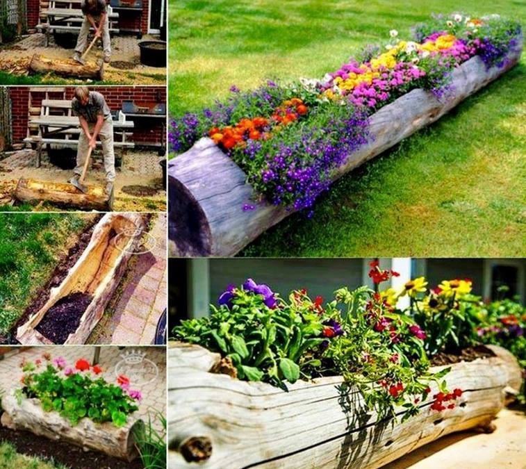 Turn an old log into a fantastic garden planter DIY Old Log Flower Planters for a Colorful Garden