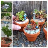 Wonderful Mini Garden Design