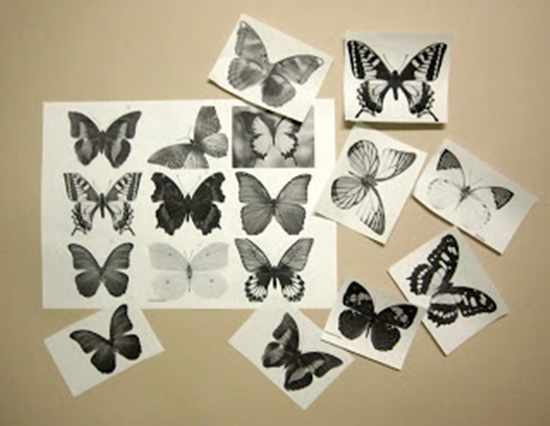 Butterfly-Made-with-Plastic-Bottles-04
