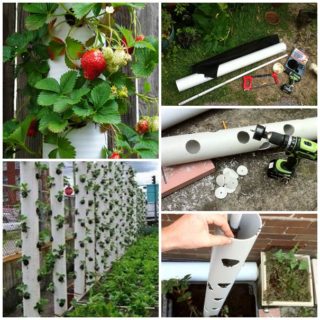 DIY Vertical PVC Planter – Simple Space Saver for Your Garden