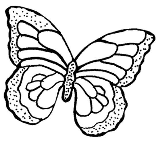 butterflytemplate