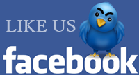 facebook like bird