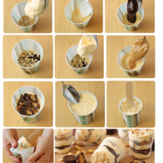 Wonderful DIY  Favorite Ice Cream Pops