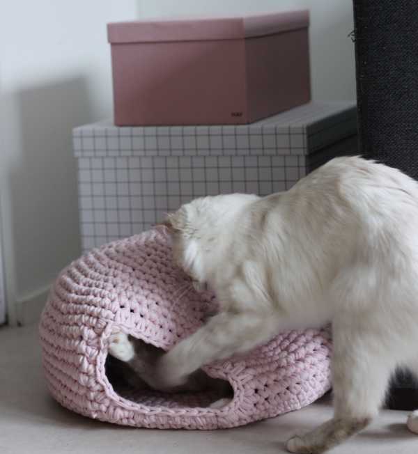 Cats house crochet project