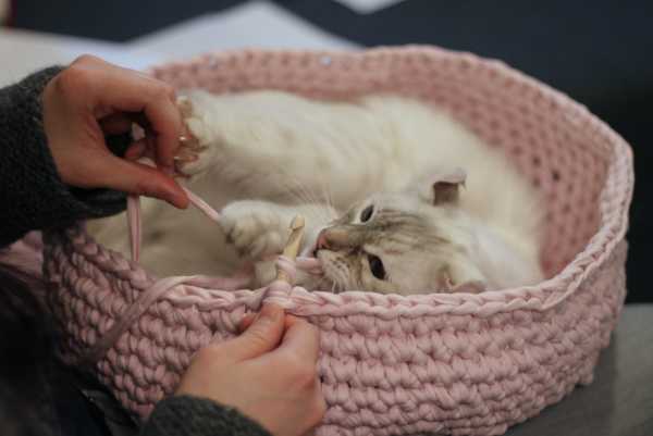 Crochet cat house