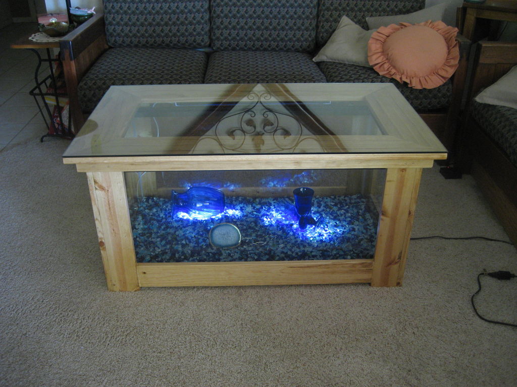 DIY coffee table fish tank