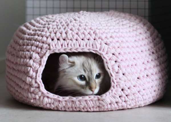Kitty cave