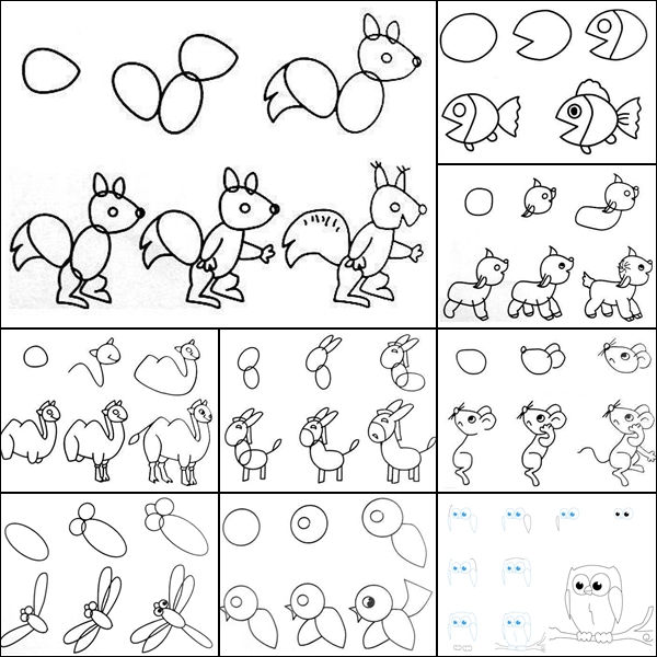 Draw Easy Animal Figures in Simple Steps F1 Wonderful Idea For Drawing  Easy Animal Figures  