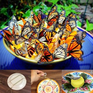 Wonderful DIY Amazing  Butterfly Feeder