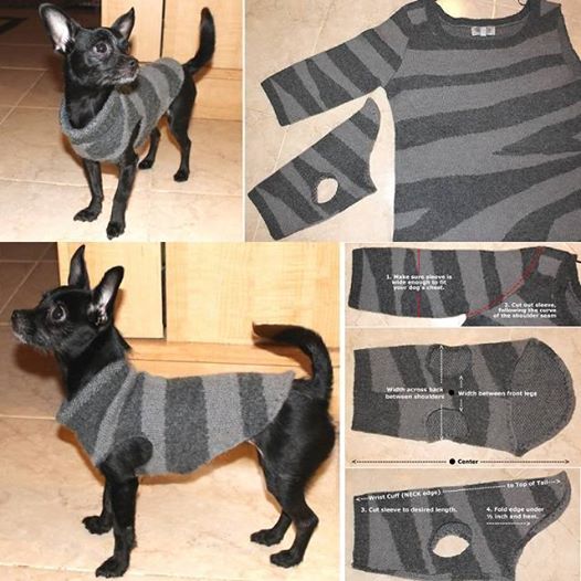 Wonderful DIY Recycled Dog and Cat Sweater