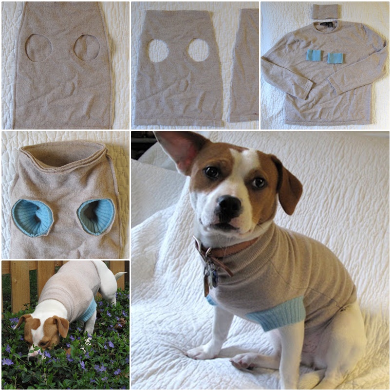 Dog Sweater WONDERUFLDIY Wonderful DIY Recycled Dog and Cat Sweater