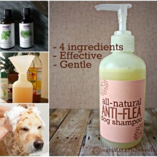 Wonderful DIY Natural Anti-flea Dog Shampoo