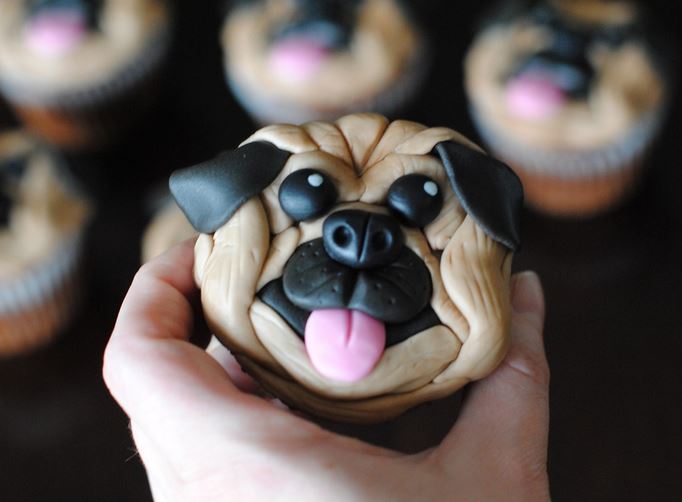 Pug-Cupcakes-wonderfuldiy