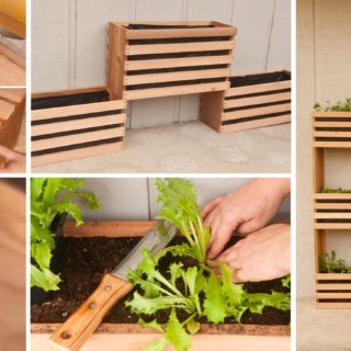 Green DIY: Craft Your Own Vertical Vegetable Garden That Takes up Little Space