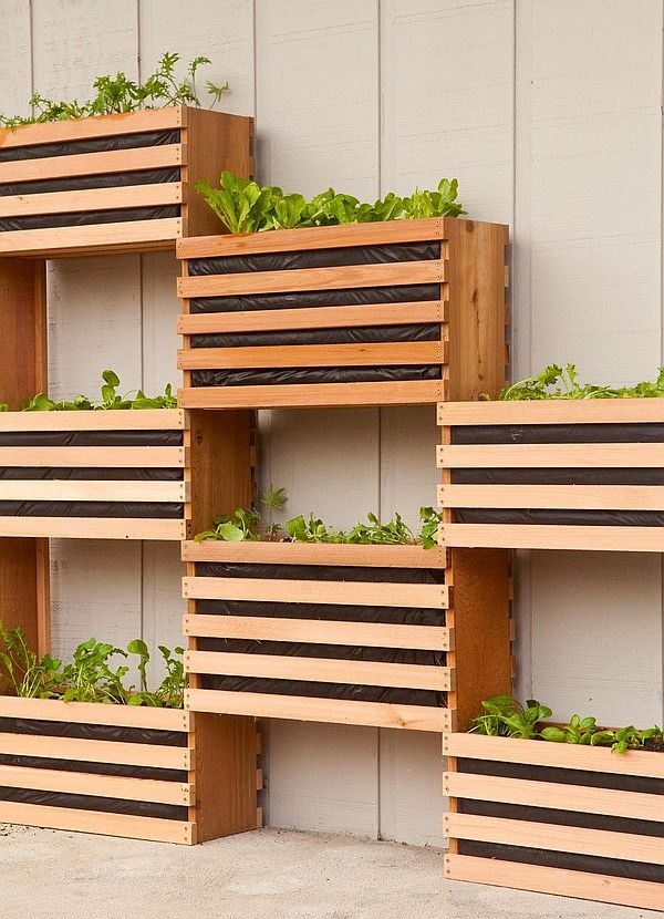 How to make DIY Vertical Garden in Limited Space