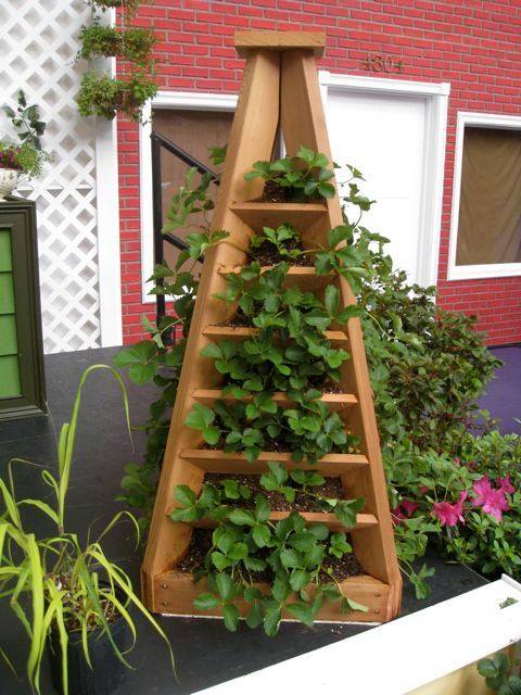 Vibrant Vertical Garden Pyramid Planter - Guide and Instructions