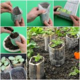 How to Make Newspaper Pots for Seed-Starting