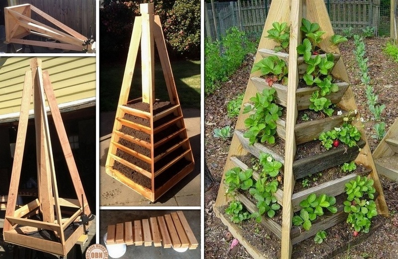 strawberry pyramid Vibrant DIY Vertical Garden Pyramid Planter