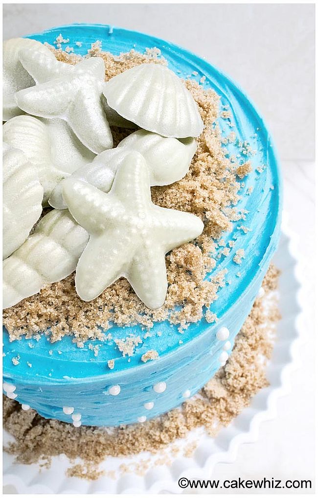 Seashell Cake