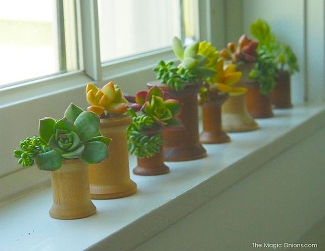 Small and stylish DIY indoor planters
