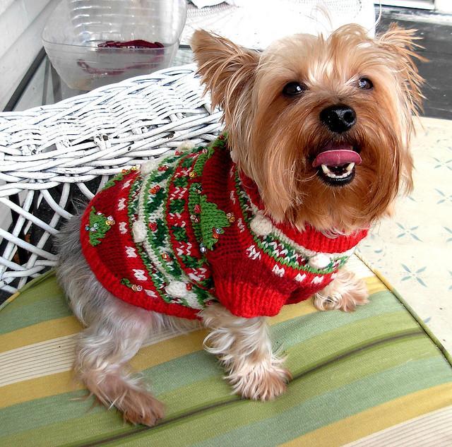 Beaded Christmas tree sweater