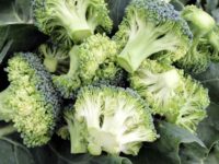 Broccoli 200x150 8 Delicious Seeds to Sow in February