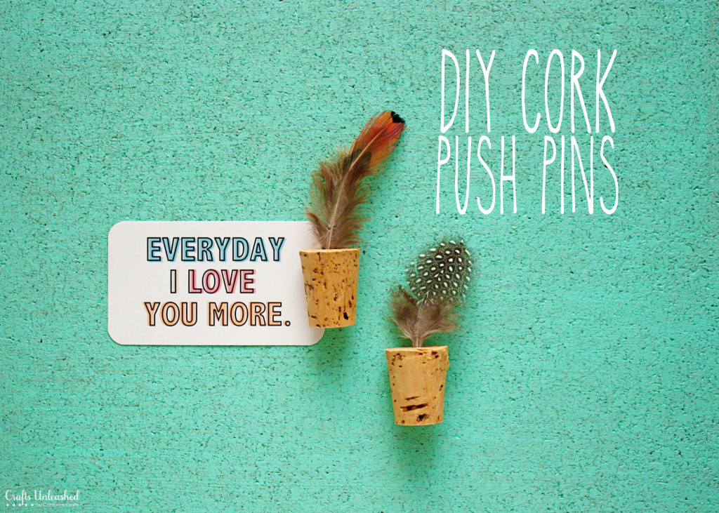 Cork Push Pins