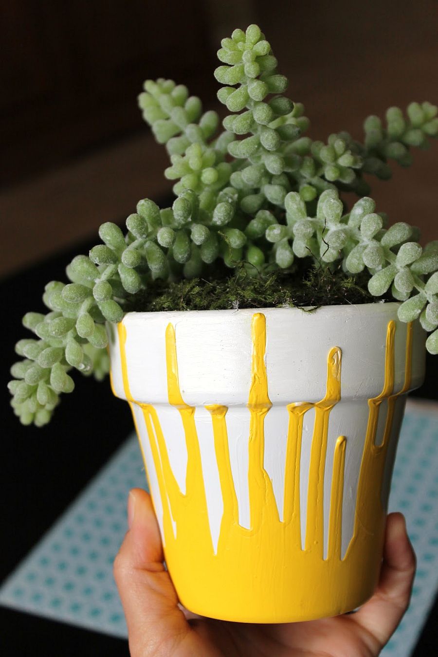 Want To Decorate Your Flower Pots? Try These Ideas!