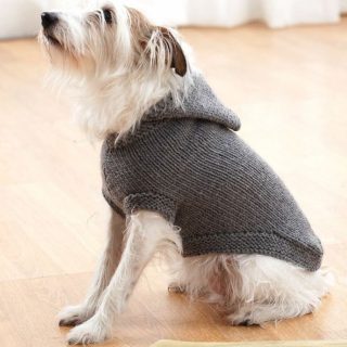 Knitted Dog Sweaters to Keep Your Pooch Warm