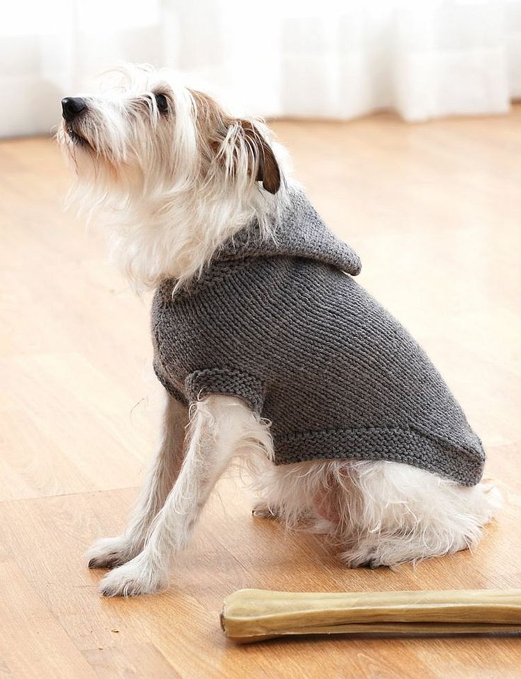 Gestrickte Hundepullover, um Ihr Hündchen warm zu halten
