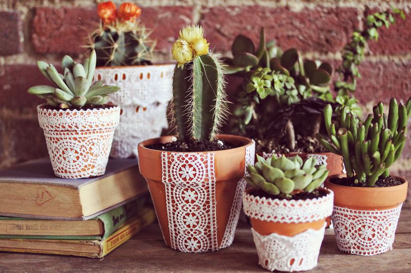 Want To Decorate Your Flower Pots Try These Ideas,Simple Living Room Color Design