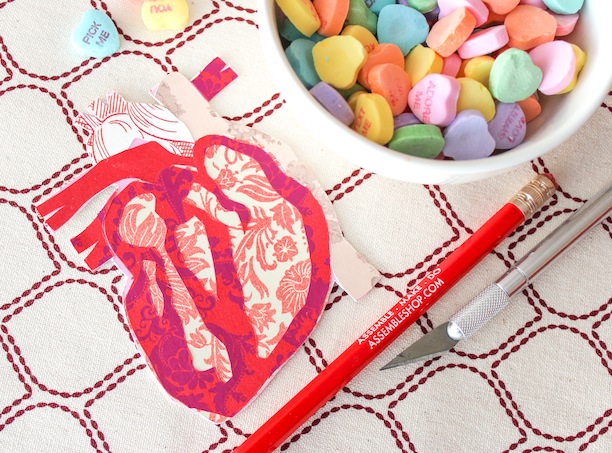 anatomically-correct-heart-valentine