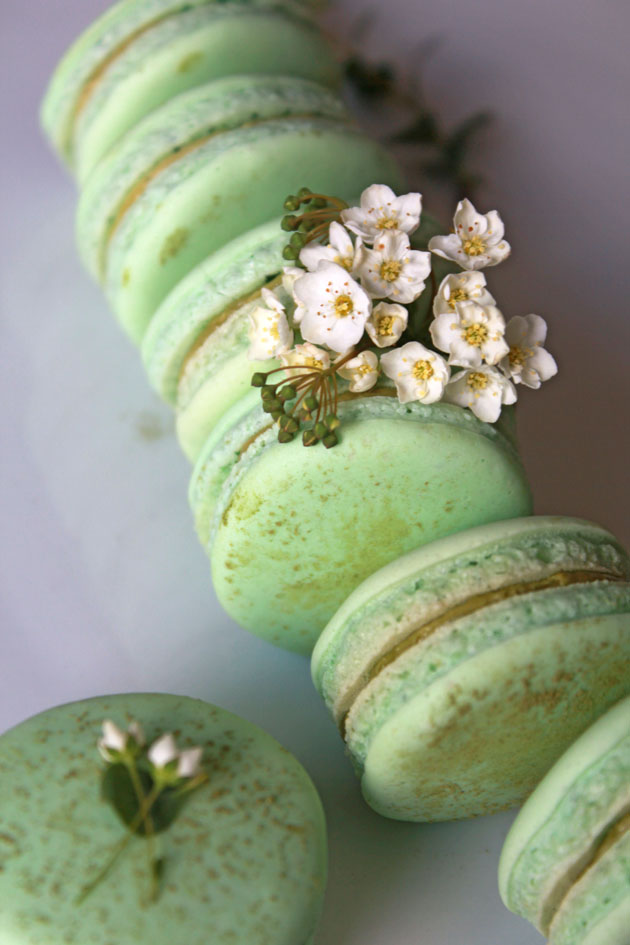 19 Delicious Macaron Recipes You Simply Can't Resist