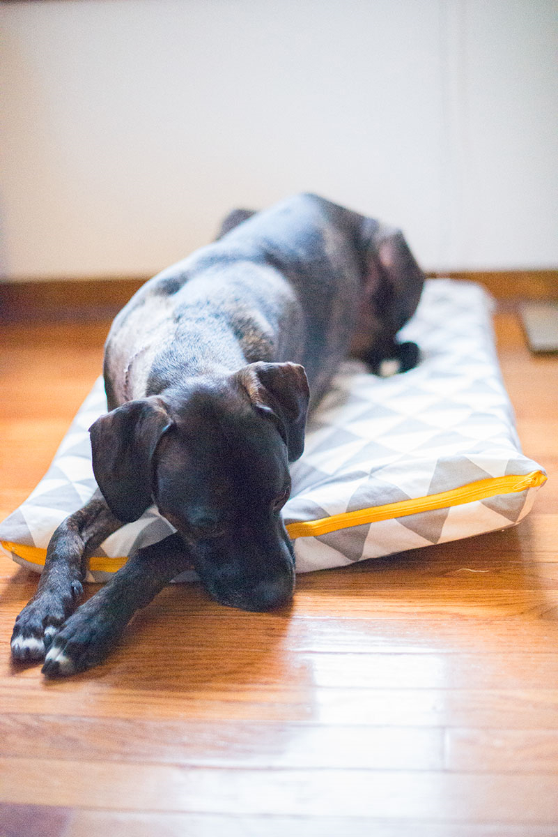 Dog Pillow Bed with Zipper
