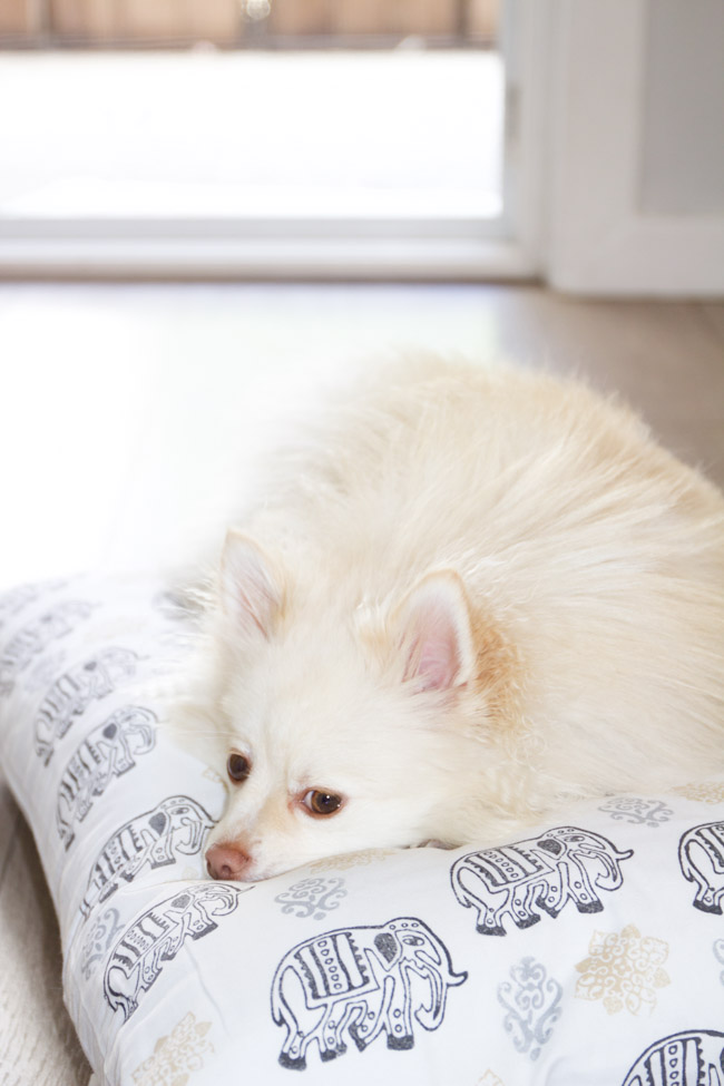 Fabric Dog Bed