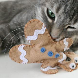 Fun and Easy DIY Cat Toys to Make for Your Favourite Feline